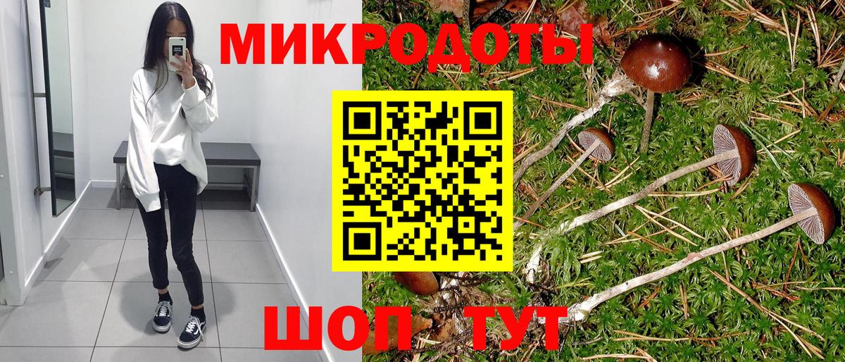 Псилоцибиновые грибы GOLDEN TEACHER  Вход с VPN  Михайловка 